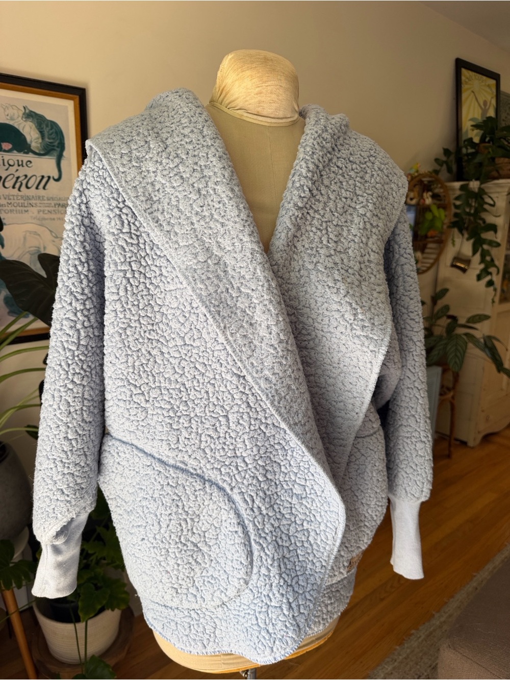 Women’s Teddy Jacket Plush Hooded Coat in Light Blue